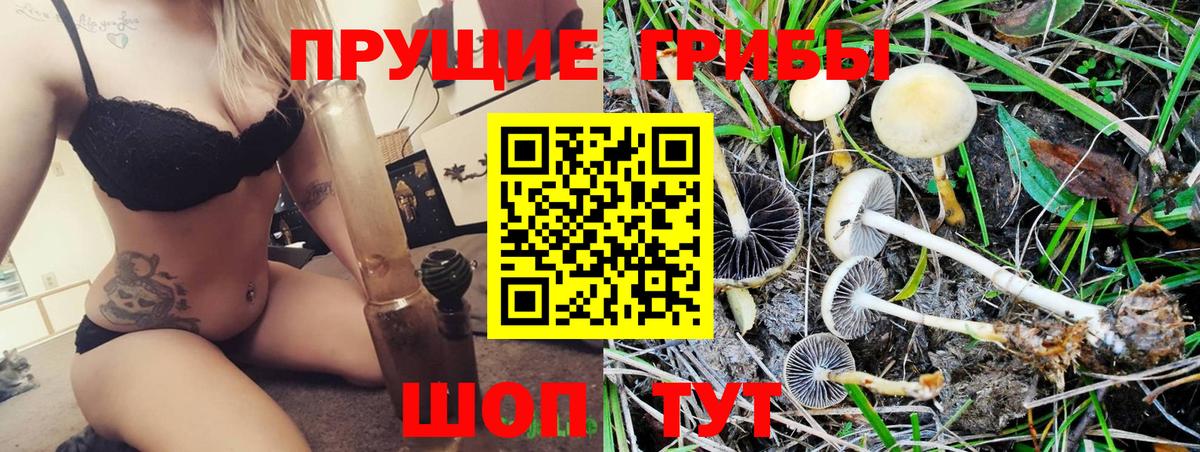 Галлюциногенные грибы прущие грибы  Вход с VPN  Галлюциногенные грибы Magic Shrooms  Фролово 